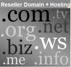 reseller domain hosting